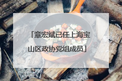 章宏斌已任上海宝山区政协党组成员