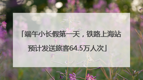 端午小长假第一天，铁路上海站预计发送旅客64.5万人次