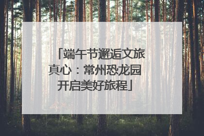 端午节邂逅文旅真心：常州恐龙园开启美好旅程