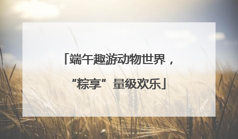 端午趣游动物世界，“粽享”量级欢乐
