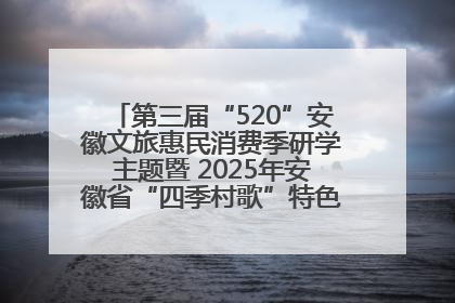 第三届“520”安徽文旅惠民消费季研学主题暨 2025年安徽省“四季村歌”特色展演燃动池州
