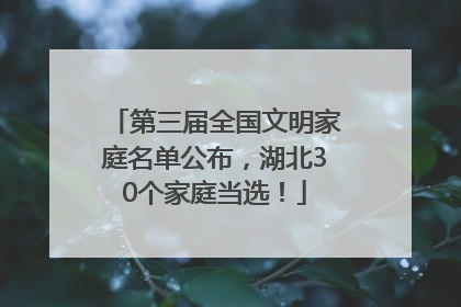 第三届全国文明家庭名单公布，湖北30个家庭当选！