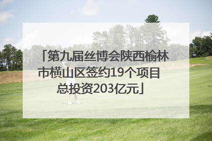 第九届丝博会陕西榆林市横山区签约19个项目 总投资203亿元