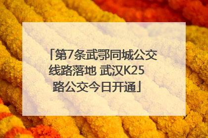 第7条武鄂同城公交线路落地 武汉K25路公交今日开通