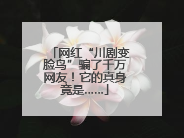 网红“川剧变脸鸟”骗了千万网友！它的真身竟是……