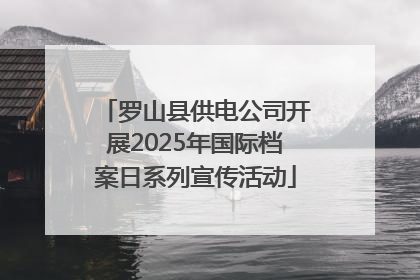 罗山县供电公司开展2025年国际档案日系列宣传活动
