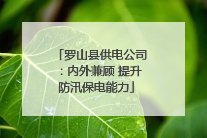 罗山县供电公司：内外兼顾 提升防汛保电能力