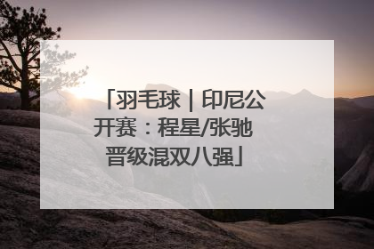 羽毛球｜印尼公开赛：程星/张驰晋级混双八强