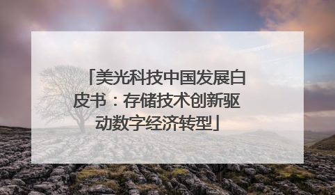 美光科技中国发展白皮书：存储技术创新驱动数字经济转型