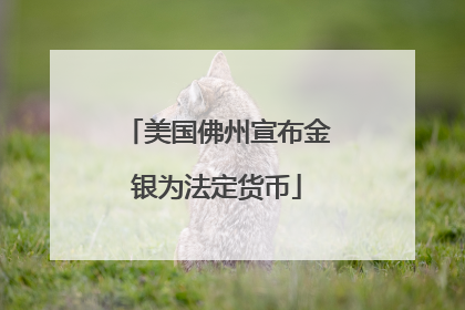 美国佛州宣布金银为法定货币