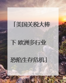 美国关税大棒下 欧洲多行业恐陷生存危机