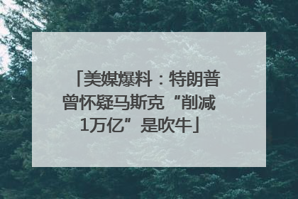 美媒爆料：特朗普曾怀疑马斯克“削减1万亿”是吹牛