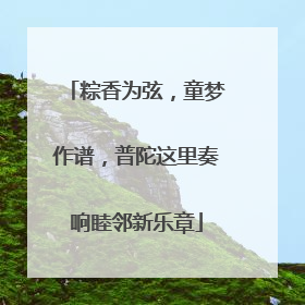 粽香为弦，童梦作谱，普陀这里奏响睦邻新乐章
