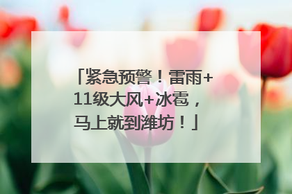 紧急预警！雷雨+11级大风+冰雹，马上就到潍坊！