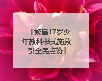 繁昌17岁少年教科书式施救引全民点赞