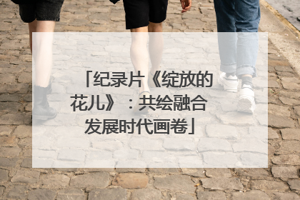 纪录片《绽放的花儿》：共绘融合发展时代画卷