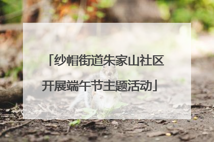 纱帽街道朱家山社区开展端午节主题活动