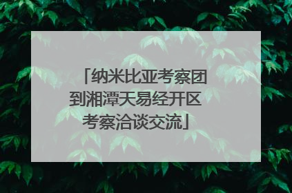 纳米比亚考察团到湘潭天易经开区考察洽谈交流