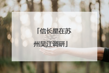 信长星在苏州吴江调研