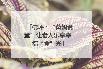 佛坪：“爸妈食堂”让老人乐享幸福“食”光