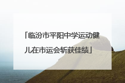 临汾市平阳中学运动健儿在市运会斩获佳绩