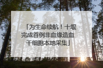 为生命续航！十堰完成首例非血缘造血干细胞本地采集