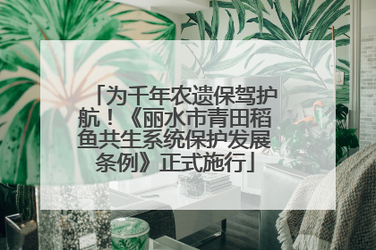 为千年农遗保驾护航！《丽水市青田稻鱼共生系统保护发展条例》正式施行