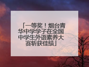 一等奖！烟台青华中学学子在全国中学生外语素养大赛斩获佳绩