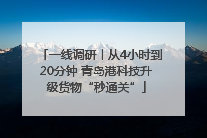 一线调研丨从4小时到20分钟 青岛港科技升级货物“秒通关”