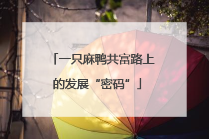 一只麻鸭共富路上的发展“密码”