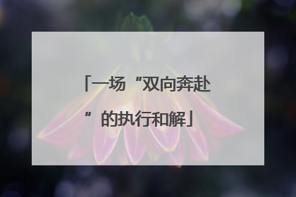 一场“双向奔赴”的执行和解