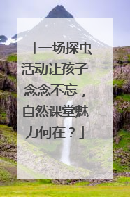 一场探虫活动让孩子念念不忘，自然课堂魅力何在？