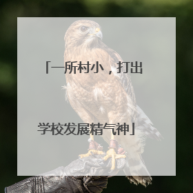 一所村小，打出学校发展精气神