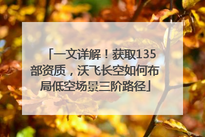 一文详解！获取135部资质，沃飞长空如何布局低空场景三阶路径