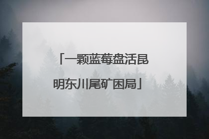 一颗蓝莓盘活昆明东川尾矿困局