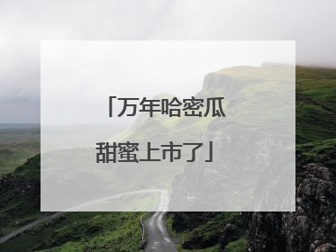万年哈密瓜甜蜜上市了