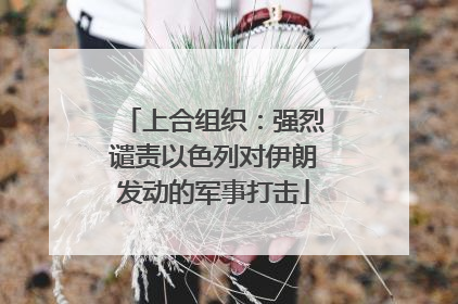 上合组织：强烈谴责以色列对伊朗发动的军事打击