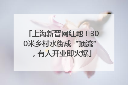 上海新晋网红地！300米乡村水街成“顶流”，有人开业即火爆
