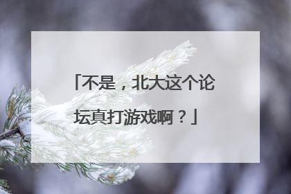 不是，北大这个论坛真打游戏啊？