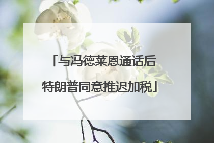 与冯德莱恩通话后 特朗普同意推迟加税