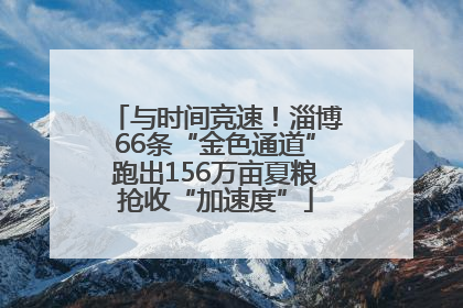 与时间竞速！淄博66条“金色通道”跑出156万亩夏粮抢收“加速度”