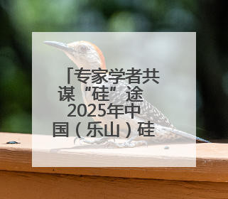 专家学者共谋“硅”途 2025年中国（乐山）硅产业链发展大会开幕