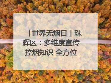世界无烟日｜珠晖区：多维度宣传控烟知识 全方位共筑健康防线