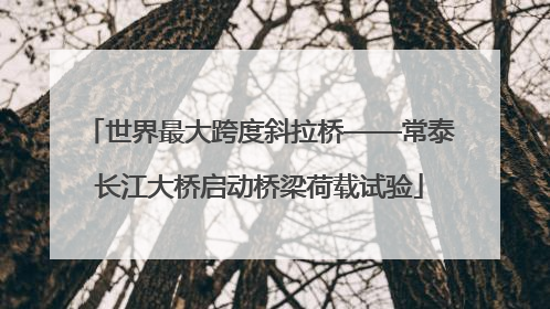 世界最大跨度斜拉桥——常泰长江大桥启动桥梁荷载试验