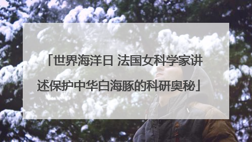 世界海洋日 法国女科学家讲述保护中华白海豚的科研奥秘