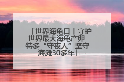 世界海龟日丨守护世界最大海龟产卵 特多“守夜人”坚守海滩30多年