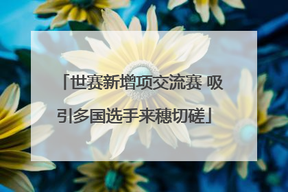 世赛新增项交流赛 吸引多国选手来穗切磋