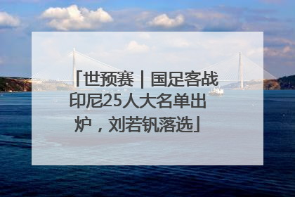 世预赛｜国足客战印尼25人大名单出炉，刘若钒落选