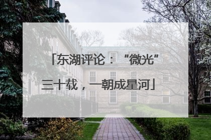 东湖评论：“微光”三十载，一朝成星河