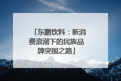 东鹏饮料：新消费浪潮下的民族品牌突围之路